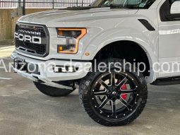 2019 Ford F-150 Raptor full