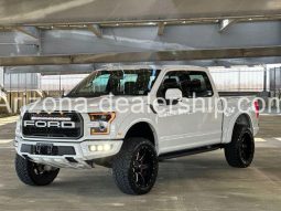 2019 Ford F-150 Raptor full