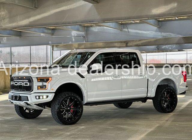 2019 Ford F-150 Raptor full