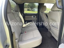 2010 Ford F-150 full