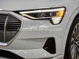 2019 Audi e-tron Prestige full