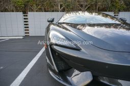 2019 McLaren 570 full