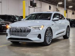 2019 Audi e-tron Prestige full