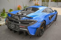 2019 McLaren 600LT full