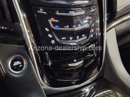 2019 Cadillac Escalade Platinum full