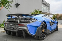 2019 McLaren 600LT full