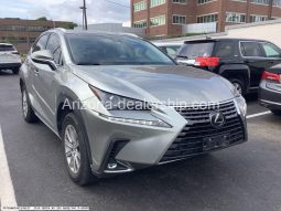 2019 Lexus NX NX 300 full