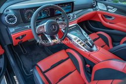 2019 Mercedes-Benz AMG GT 63 S full