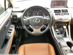 2019 Lexus NX NX 300 full