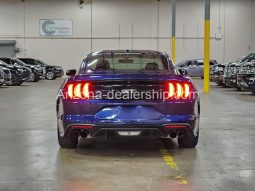 2019 Ford Mustang GT full