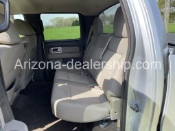 2010 Ford F-150 full