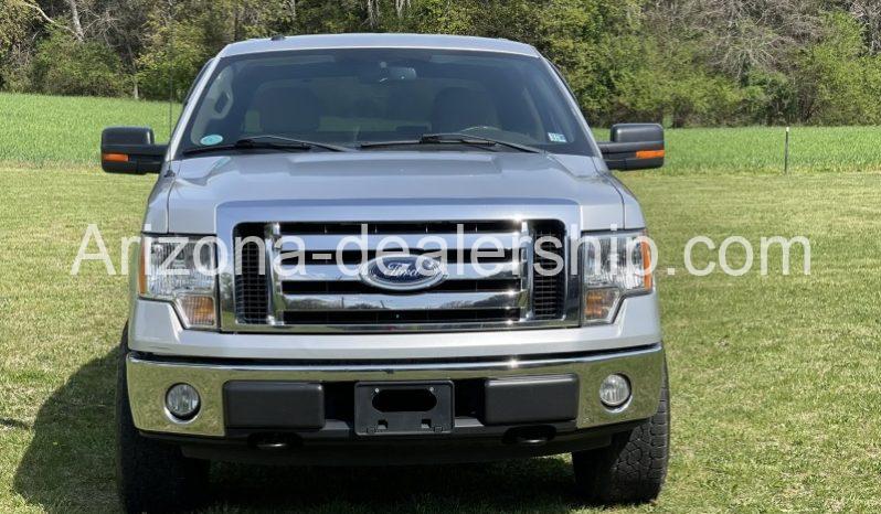 2010 Ford F-150 full