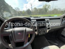 2010 Ford F-150 full