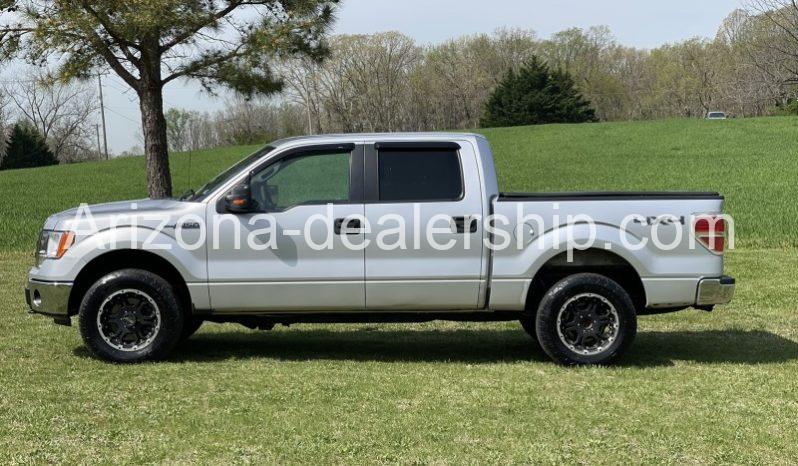 2010 Ford F-150 full