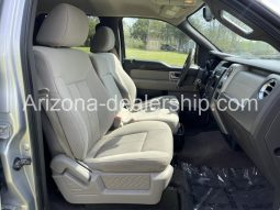 2010 Ford F-150 full