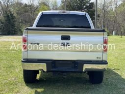 2010 Ford F-150 full