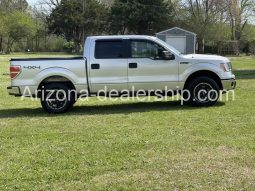 2010 Ford F-150 full