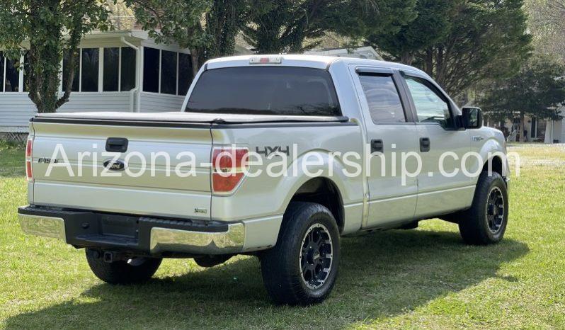 2010 Ford F-150 full