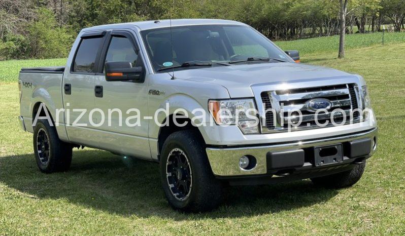 2010 Ford F-150 full