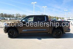 2022 Toyota Tundra 1794 Edition full