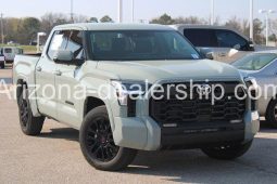 2023 Toyota Tundra 4WD PLATINUM full