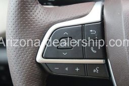 2021 Toyota Sienna Platinum full